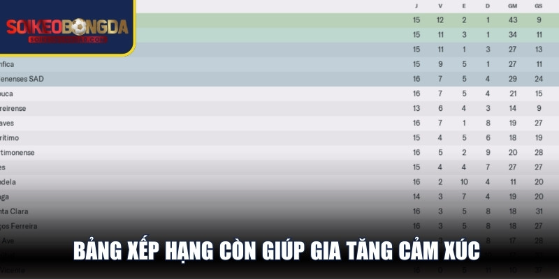 Bảng xếp hạng còn giúp gia tăng cảm xúc và gắn kết người hâm mộ 