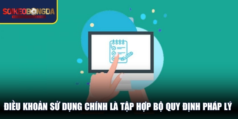 Điều khoản sử dụng chính là tập hợp bộ quy định pháp lý bạn phải tuân theo 