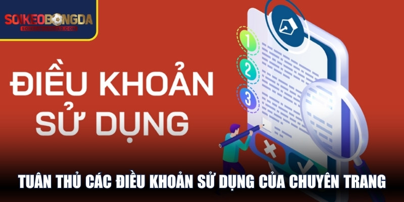 Tuân thủ các điều khoản sử dụng của chuyên trang 