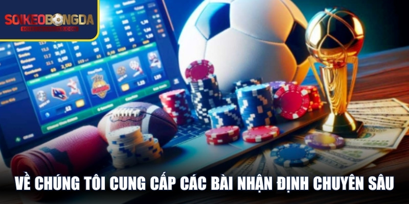 Về chúng tôi cung cấp các bài nhận định chuyên sâu 